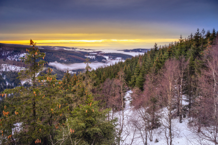 Bild-Nr: 12385482 Blick von der Hammersteinklippe im Harz Erstellt von: Steffen Henze
