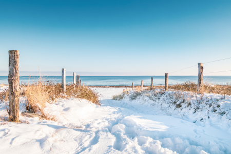 Bild-Nr: 12385705 Schnee in den Dünen     Erstellt von: Ursula Reins