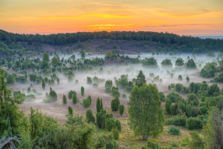 Bild-Nr: 12387732 Totengrund in der Lüneburger Heide Erstellt von: Michael Valjak