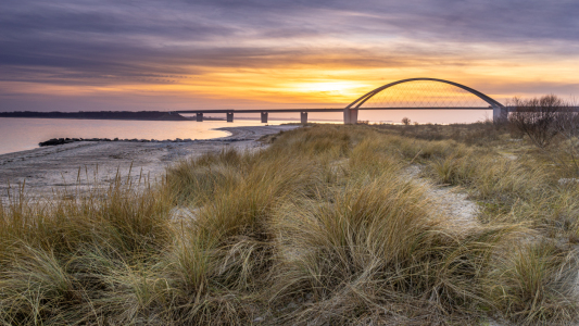 Bild-Nr: 12388413 Ostseeinsel Fehmarn Erstellt von: Steffen Henze