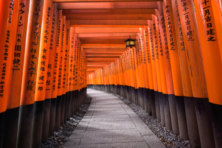 Bild-Nr: 12392334 Torii des Fushimi Inari Taisha Schreins in Kyoto Erstellt von: eyetronic