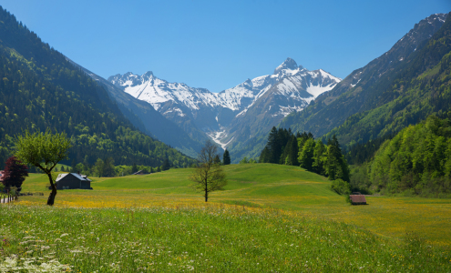 Bild-Nr: 12393165 Frühling im Trettachtal Oberstdorf Erstellt von: SusaZoom