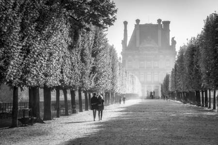 Bild-Nr: 12393482 Jardin des Tuileries in Paris Erstellt von: eyetronic