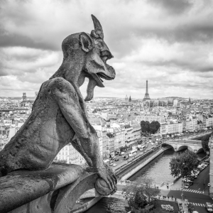 Bild-Nr: 12393542 Gargoyle Statue und Eiffelturm in Paris Erstellt von: eyetronic