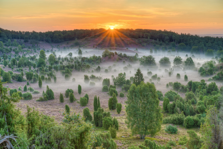 Bild-Nr: 12395316 Blick in den Totengrund in der Lüneburger Heide Erstellt von: Michael Valjak