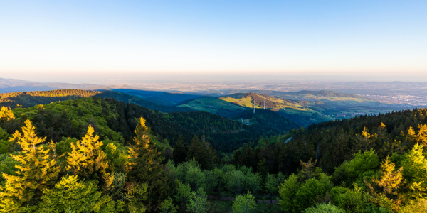 Bild-Nr: 12395438 Hochschwarzwald beim Schauinsland Erstellt von: dieterich