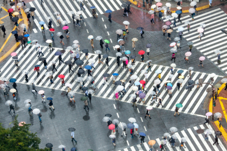 Bild-Nr: 12399252 Shibuya Crossing im Regen Erstellt von: eyetronic