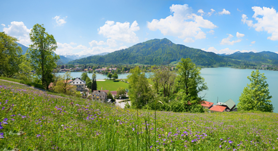 Bild-Nr: 12400472 Blumenwiese am Leeberg Tegernsee Erstellt von: SusaZoom