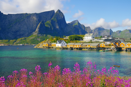 Bild-Nr: 12402112 Sakrisoy auf den Lofoten Erstellt von: reinhard Pantke