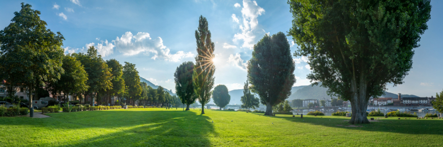 Bild-Nr: 12406761 Heidelberg Neckarwiese im Sommer Erstellt von: eyetronic