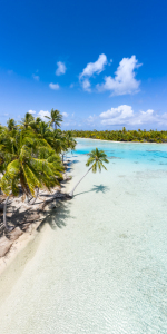 Bild-Nr: 12410827 Blaue Lagune auf Fakarava Erstellt von: eyetronic