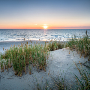 Bild-Nr: 12412599 Am Dünenstrand bei Sonnenuntergang Erstellt von: eyetronic