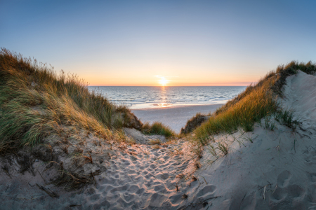 Bild-Nr: 12413513 Der Weg zum Strand Erstellt von: eyetronic