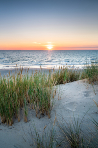 Bild-Nr: 12414280 Dünenlandschaft bei Sonnenuntergang Erstellt von: eyetronic