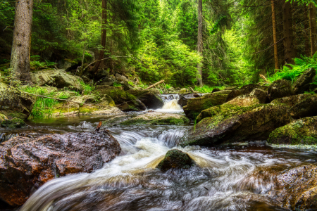 Bild-Nr: 12415669 Schwarzwassertal Erstellt von: KundenNr-360742