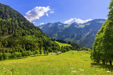 Bild-Nr: 12416530 Sommerliche Allgäuer Alpen bei Gerstruben Erstellt von: Andreas Föll