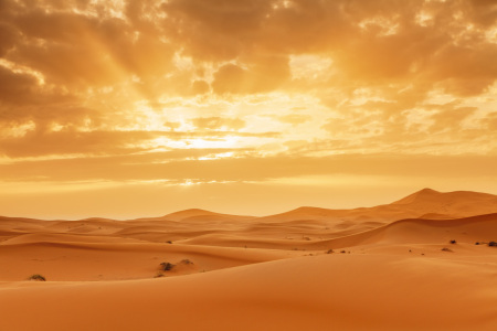 Bild-Nr: 12423496 Sanddünen in der Erg Chebbi Wüste in Marokko Erstellt von: KundenNr-360966
