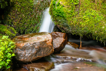 Bild-Nr: 12429115 Kleiner Wasserfall im Wald mit Steinen Erstellt von: Guenter Purin