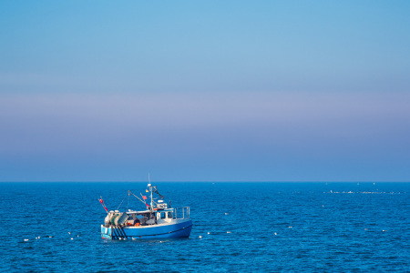 Bild-Nr: 12429685 Fischerboot mit Möwen auf der Ostsee Erstellt von: Rico Ködder