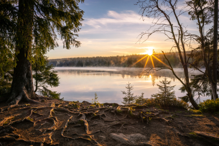 Bild-Nr: 12439767 Sonnenaufgang am Oderteich Erstellt von: PH-Photography