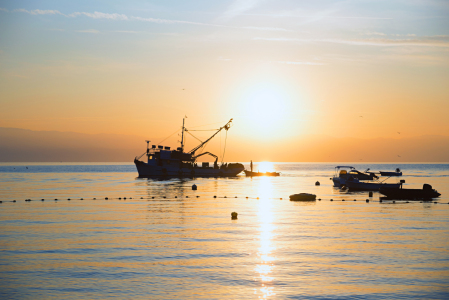 Bild-Nr: 12441892 Fischkutter am Meer bei Sonnenaufgang Erstellt von: SusaZoom