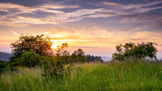 Bild-Nr: 12443642 Abendspaziergang Erstellt von: Steffen Henze