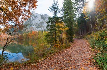 Bild-Nr: 12448768 Herbstwanderung Laudachsee Salzkammergut Erstellt von: SusaZoom