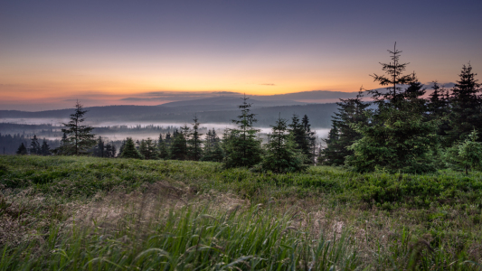 Bild-Nr: 12451646 Nebel im Morgen Erstellt von: Steffen Henze