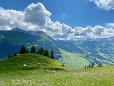 Bild-Nr: 12454368 Alpenaussicht in der Schweiz Erstellt von: figo24