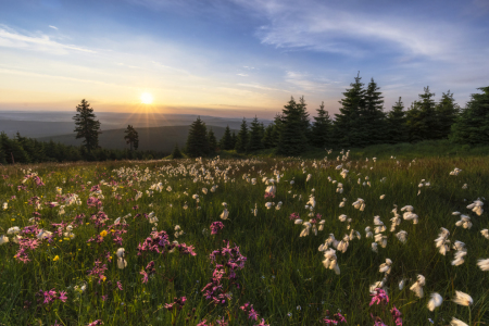 Bild-Nr: 12454696 Sommer im Erzgebirge Erstellt von: Daniela Beyer