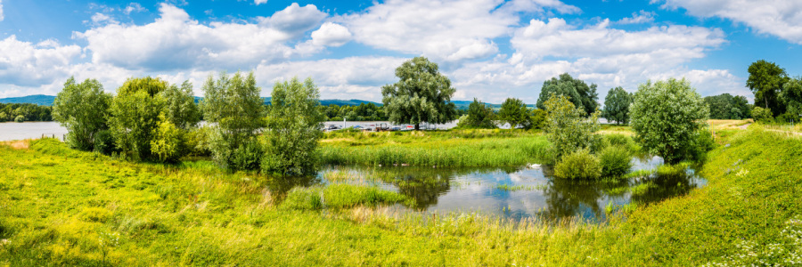 Bild-Nr: 12456165 Rhein bei Heidenfahrt -1- Erstellt von: Erhard Hess