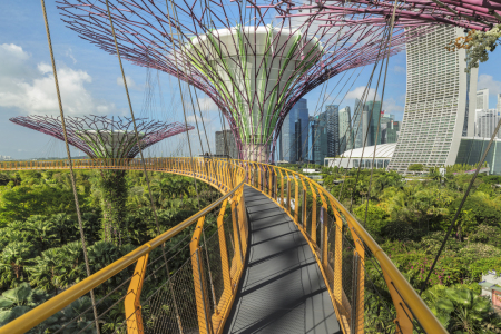 Bild-Nr: 12457175 Supertrees in den Gardens by the Bay in Singapur Erstellt von: KundenNr-360966