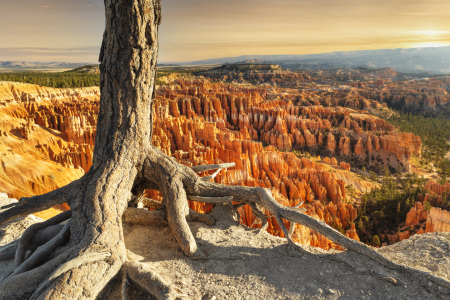 Bild-Nr: 12460998 Bryce Canyon bei Sonnenaufgang Erstellt von: KundenNr-360966