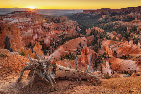 Bild-Nr: 12461000 Bryce Canyon bei Sonnenaufgang Erstellt von: KundenNr-360966