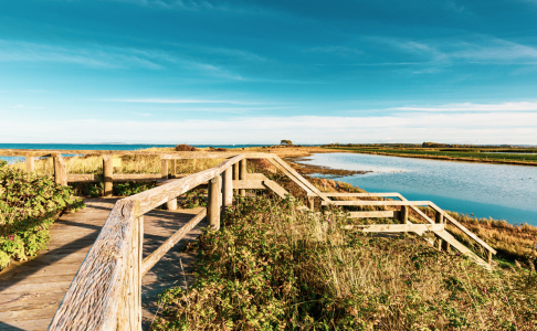 Bild-Nr: 12462939 zwischen Land und Meer Erstellt von: Ursula Reins