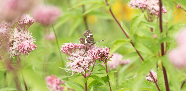 Bild-Nr: 12466325 Landkärtchen Erstellt von: Patrick Schwarzbach