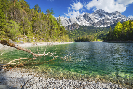 Bild-Nr: 12467370 Eibsee und Zugspitze im Frühling Erstellt von: Andreas Föll