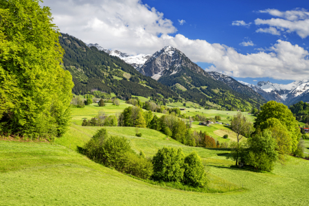 Bild-Nr: 12467400 Rubihorn bei Oberstdorf im Frühling Erstellt von: Andreas Föll