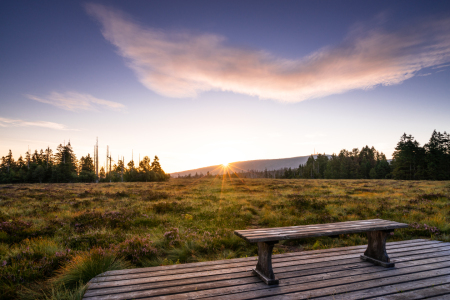 Bild-Nr: 12467461 Moorblick im Harz Erstellt von: Steffen Henze