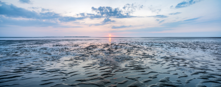 Bild-Nr: 12467776 Am Wattenmeer bei Sonnenuntergang Erstellt von: eyetronic
