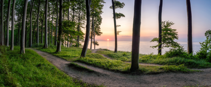 Bild-Nr: 12470667 Sonnenaufgang im Nationalpark Jasmund auf Rügen Erstellt von: eyetronic