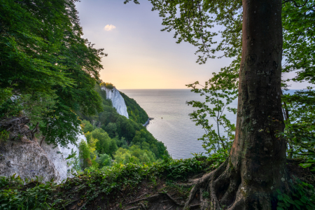 Bild-Nr: 12470830 Sonnenuntergang am Königsstuhl Felsen auf Rügen Erstellt von: eyetronic