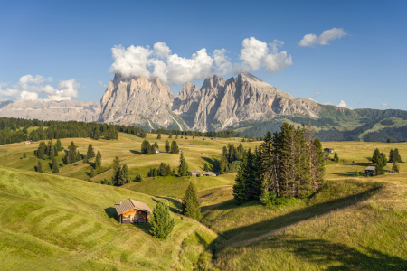 Bild-Nr: 12471867 Sommer auf der Seiser Alm in Südtirol Erstellt von: Michael Valjak