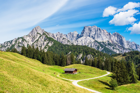 Bild-Nr: 12473010 Blick auf die Litzlalm mit Hütte in Österreich Erstellt von: Rico Ködder