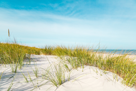 Bild-Nr: 12477162 Sommerfrische an der Nordsee Erstellt von: Ursula Reins