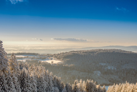 Bild-Nr: 12483568 Bayerischer Wald Erstellt von: Gregor Handy