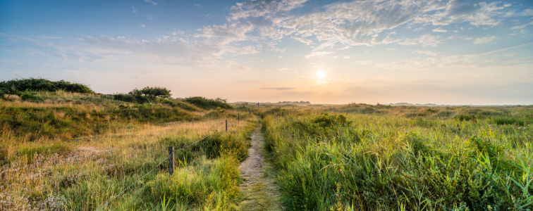 Bild-Nr: 12484830 Nationalpark Wattenmeer bei Sonnenaufgang Erstellt von: eyetronic