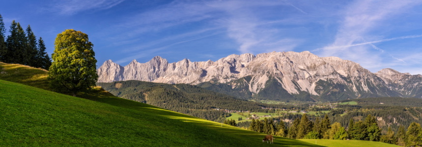 Bild-Nr: 12485136 Dachsteinpanorama Erstellt von: Achim Thomae