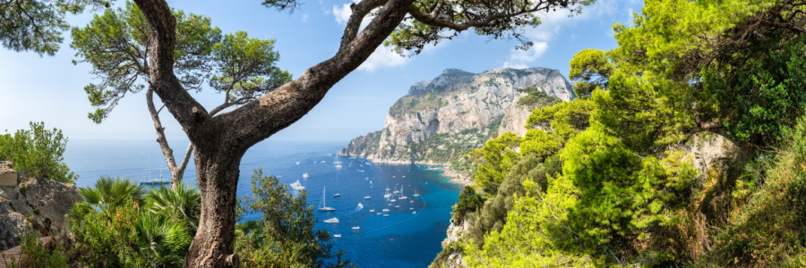 Bild-Nr: 12491901 Capri Panorama Erstellt von: eyetronic