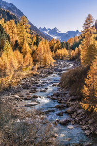 Bild-Nr: 12492946 Herbst im Engadin Erstellt von: Achim Thomae
